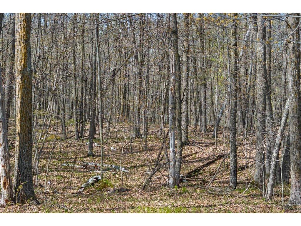 9382 County Road 8 Garrison Twp MN 56401 7072134 image83