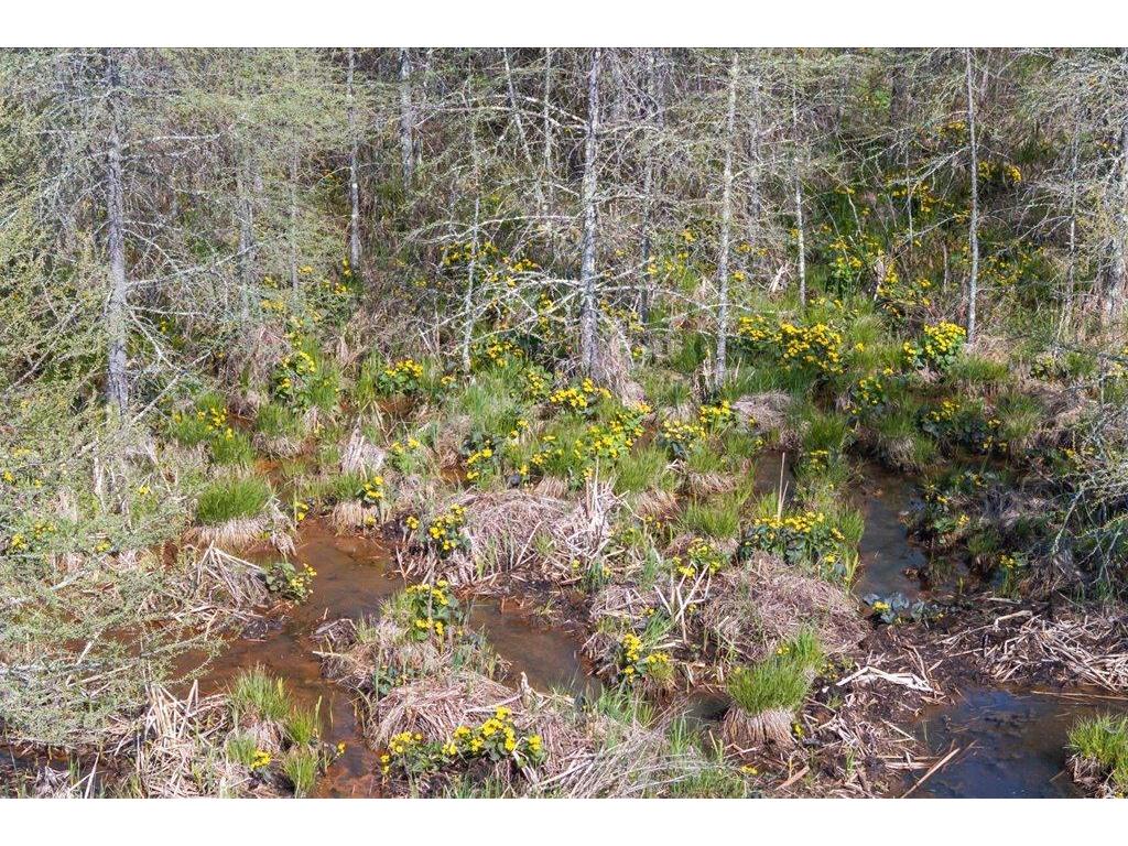 9382 County Road 8 Garrison Twp MN 56401 7072134 image94