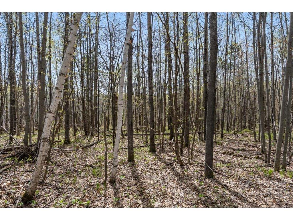 9382 County Road 8 Garrison Twp MN 56401 7072134 image98