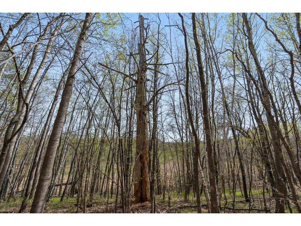 9382 County Road 8 Garrison Twp MN 56401 7072134 image99