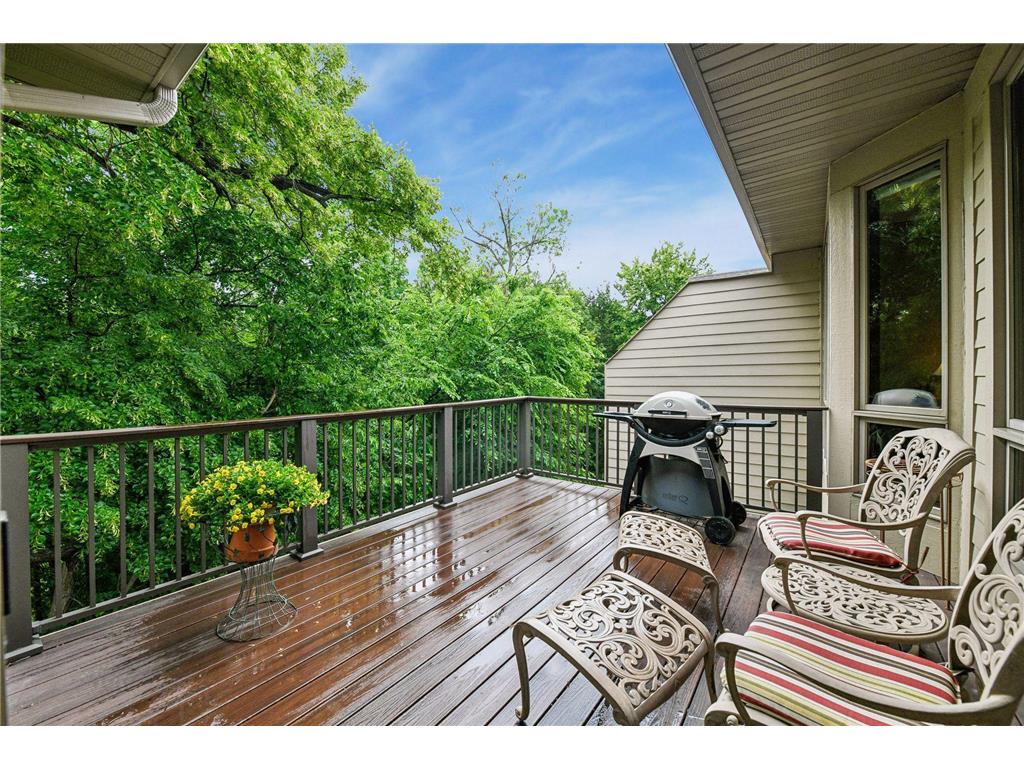9385 Libby Lane Eden Prairie MN 55347 7094303 image31