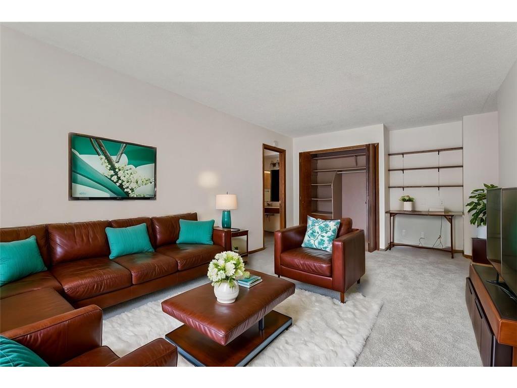 939 11th Avenue S #8 Hopkins MN 55343 6643812 image1