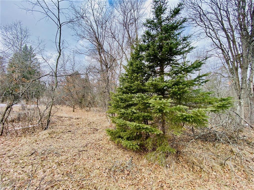 9397 E County Road T Wascott Twp WI 54859 7044653 image28