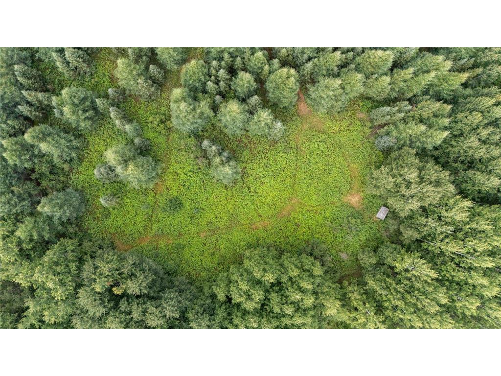 9401 Samuelson Road Alango Twp MN 55703 7046541 image12