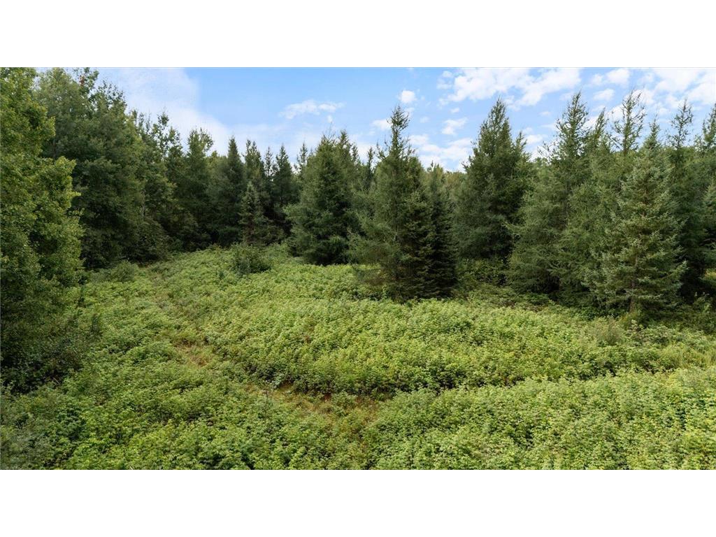 9401 Samuelson Road Alango Twp MN 55703 7046541 image14