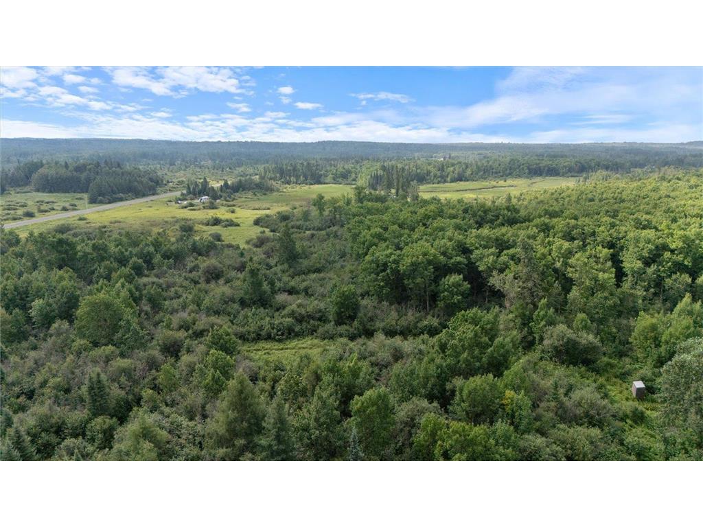 9401 Samuelson Road Alango Twp MN 55703 7046541 image18