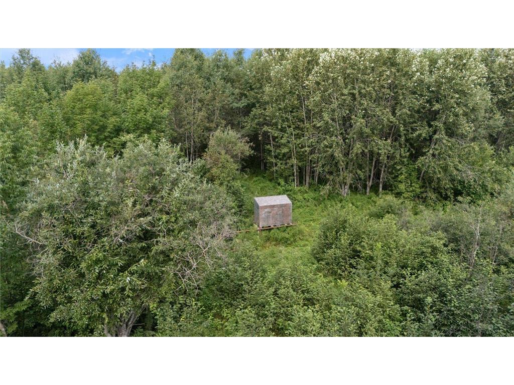 9401 Samuelson Road Alango Twp MN 55703 7046541 image19
