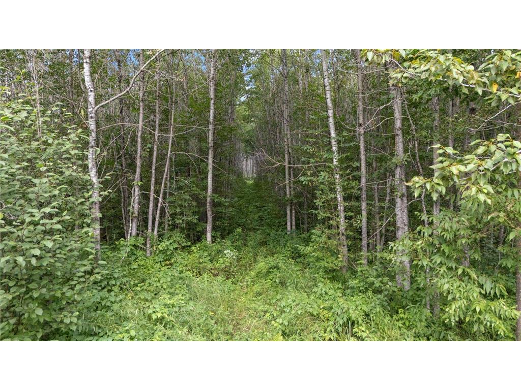 9401 Samuelson Road Alango Twp MN 55703 7046541 image20