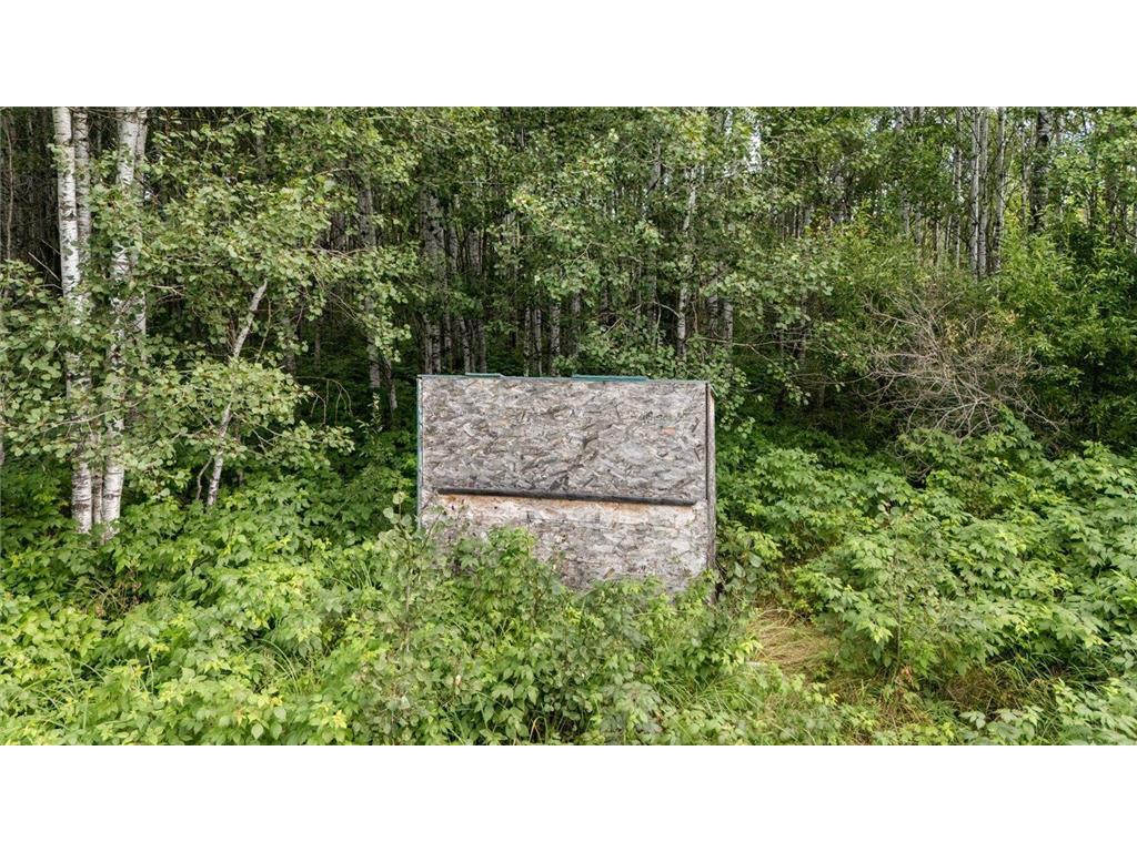 9401 Samuelson Road Alango Twp MN 55703 7046541 image8