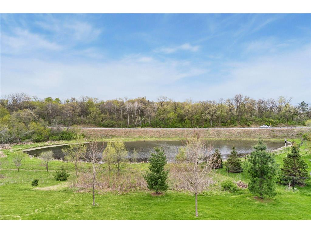 9408 Aladin Trail Inver Grove Heights MN 55077 7070057 image15