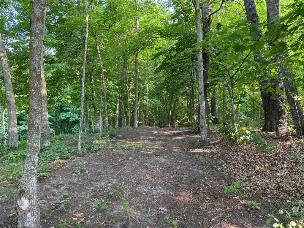 941 Loon Song Lane NE Turtle Lake Twp MN 56601 - Turtle Lake 7103148 image10