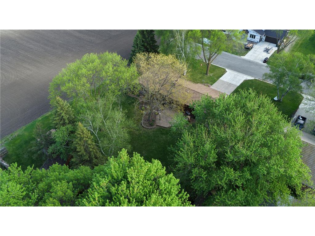 941 Mary Avenue Willmar MN 56201 6823175 image46