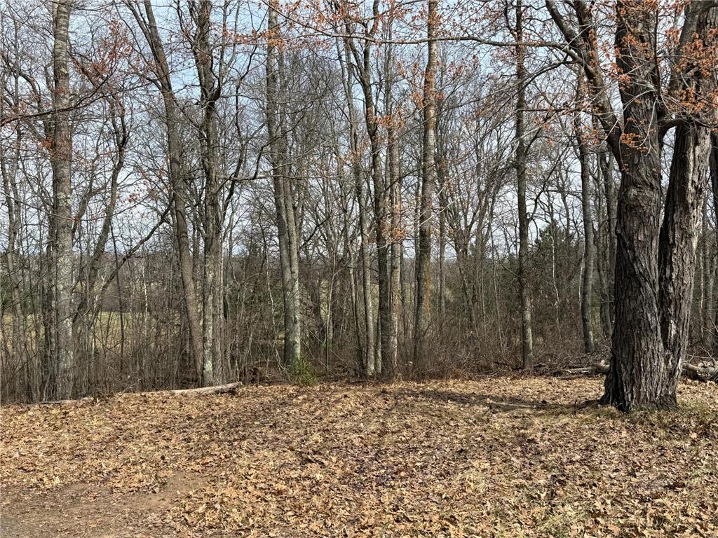 9410 Pine Lake Road Iron River WI 54847 7019339 image31