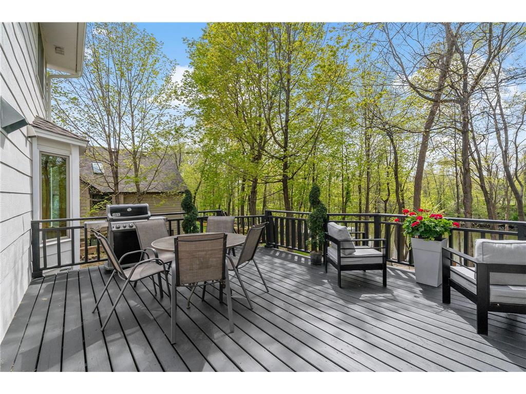 9421 Dallas Lane N Maple Grove MN 55369 - Rice Lake 7069123 image30