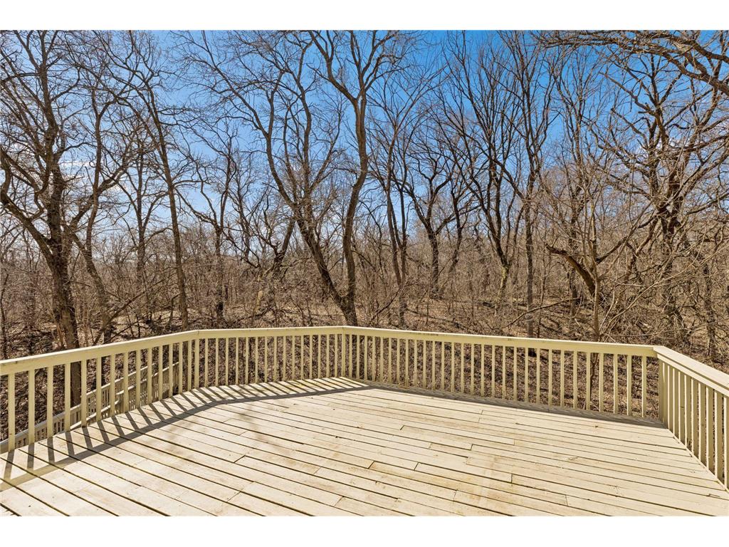 9440 Abigail Court Inver Grove Heights MN 55077 7031413 image31
