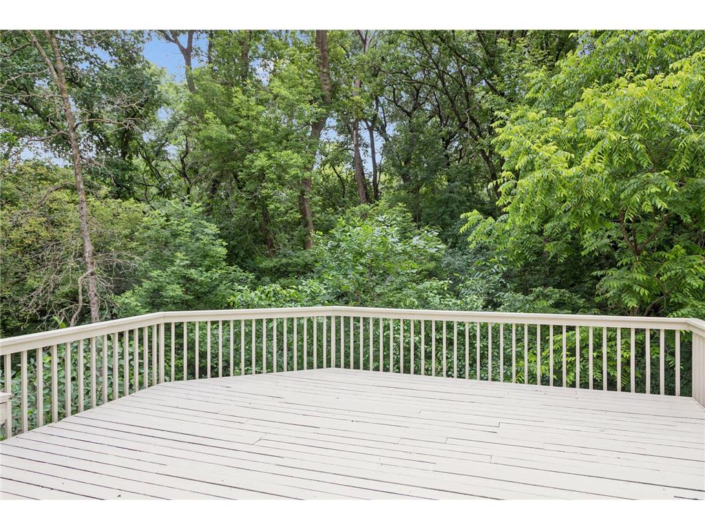 9440 Abigail Court Inver Grove Heights MN 55077 7106494 image31