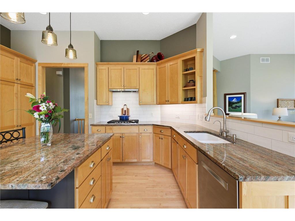 9447 Woodridge Court Savage MN 55378 7062445 image15