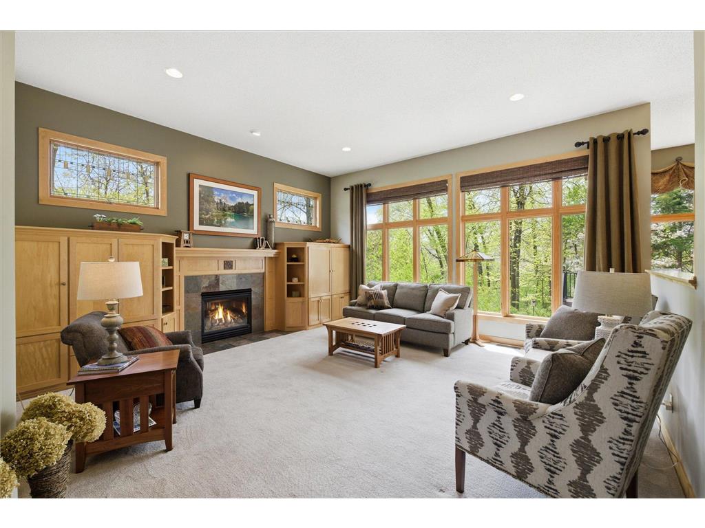 9447 Woodridge Court Savage MN 55378 7062445 image8