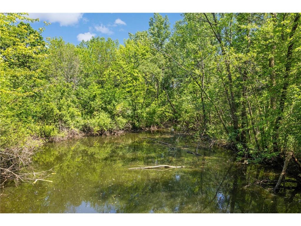 946 Redwood Drive Apple Valley MN 55124 7036673 image28