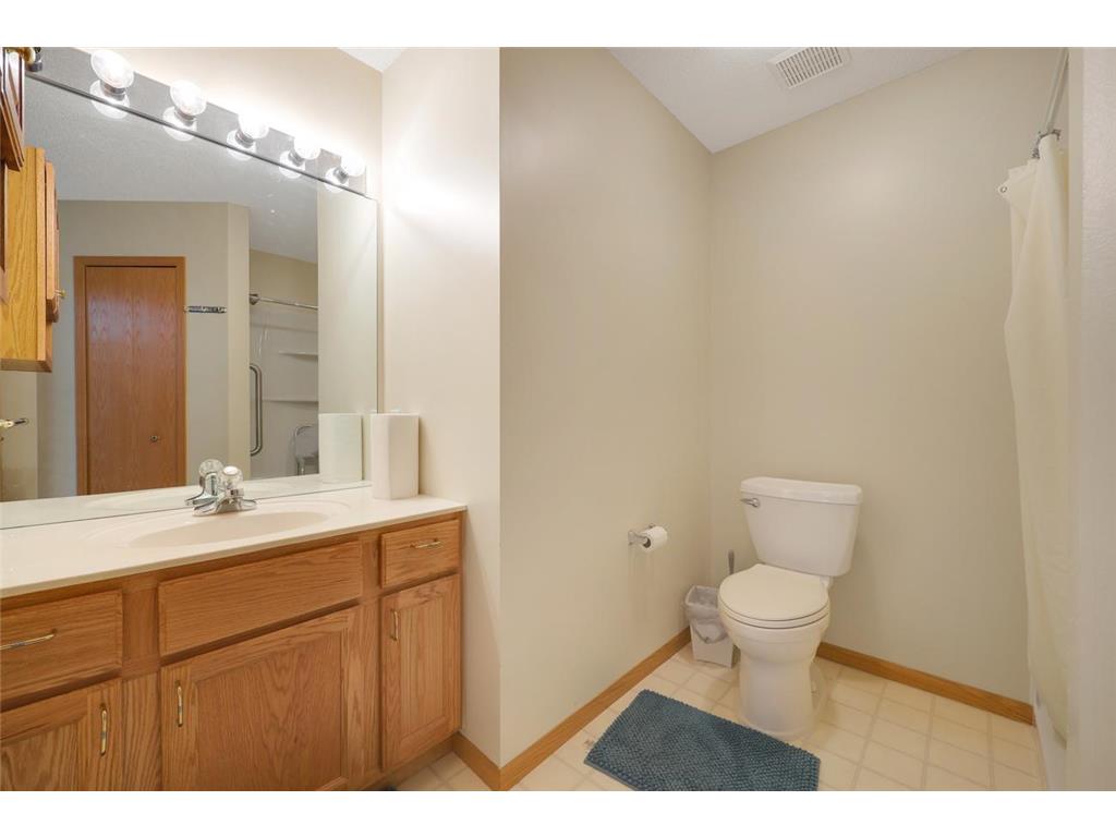 9462 Prairieview Trail N Champlin MN 55316 7066599 image15