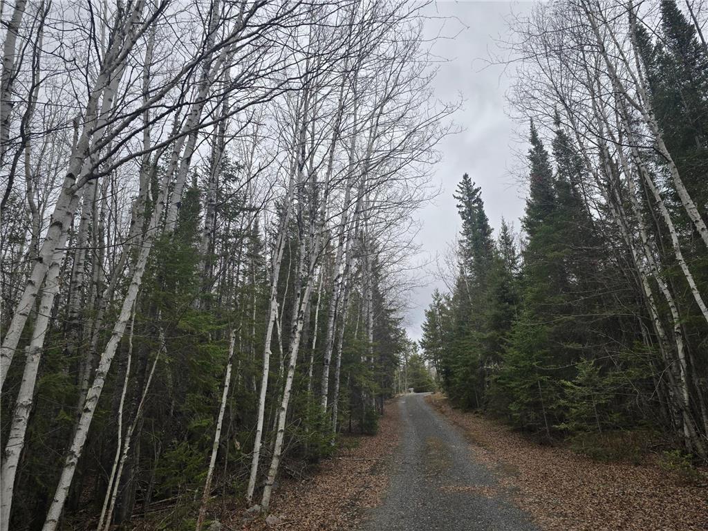 9464 Highway 53 Kabetogama MN 56669 7071222 image10