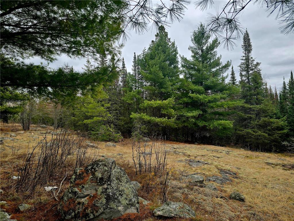 9464 Highway 53 Kabetogama MN 56669 7071222 image29