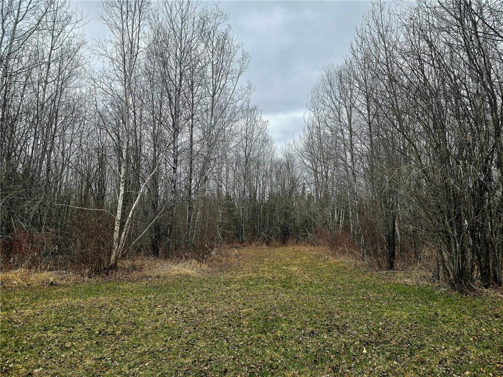 9464 Highway 53 Kabetogama MN 56669 7071222 image7