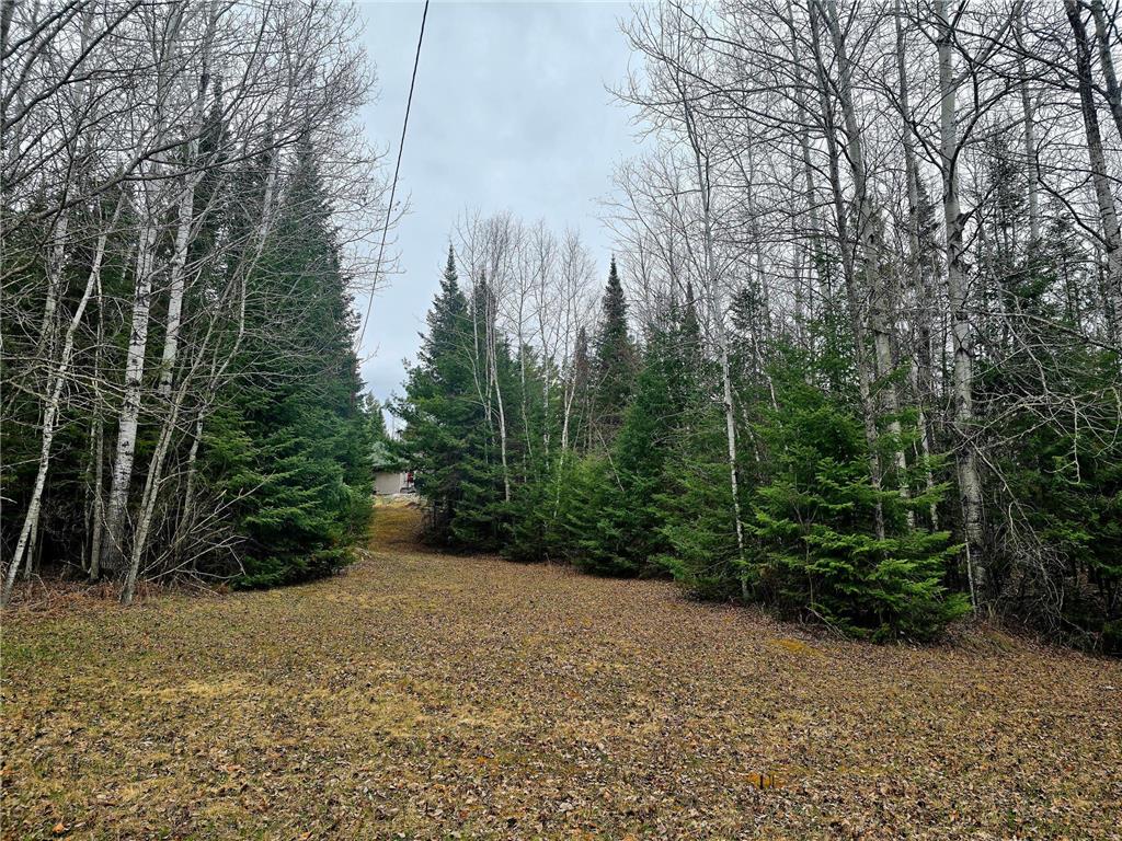 9464 Highway 53 Kabetogama MN 56669 7071222 image8