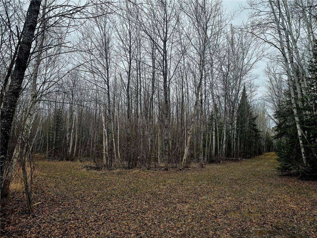 9464 Highway 53 Kabetogama MN 56669 7071222 image9