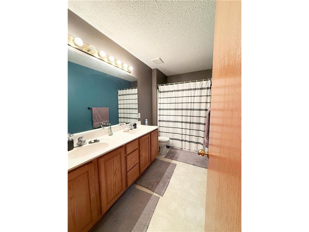 9467 Golden Eagle Lane Monticello MN 55362 7079095 image17