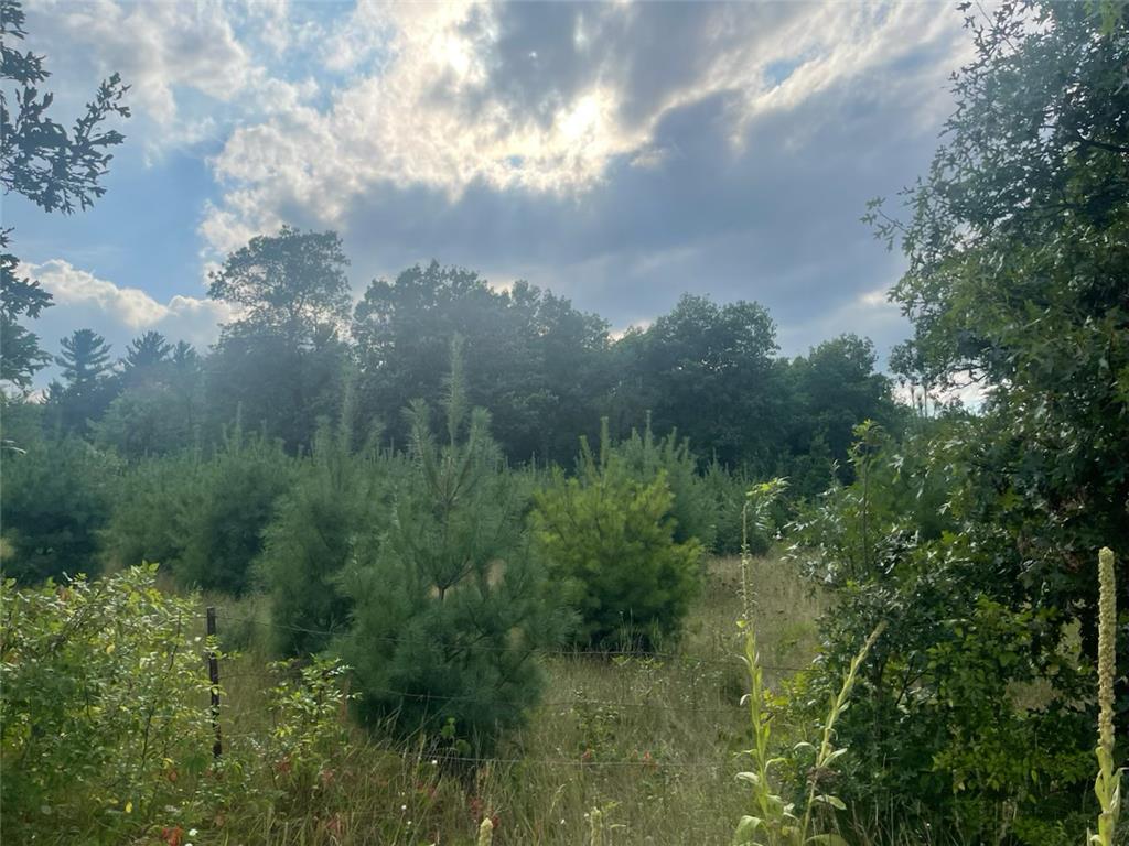 9484 Sunrise Rd Sunrise Twp MN 55032 6769304 image28