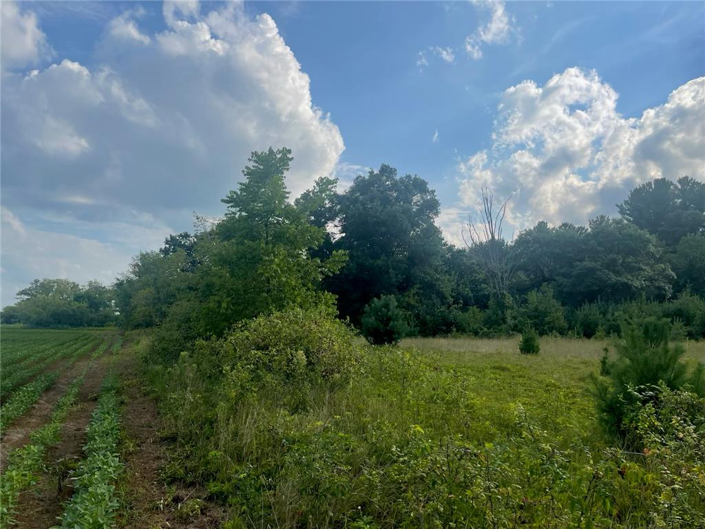 9484 Sunrise Rd Sunrise Twp MN 55032 6769304 image34