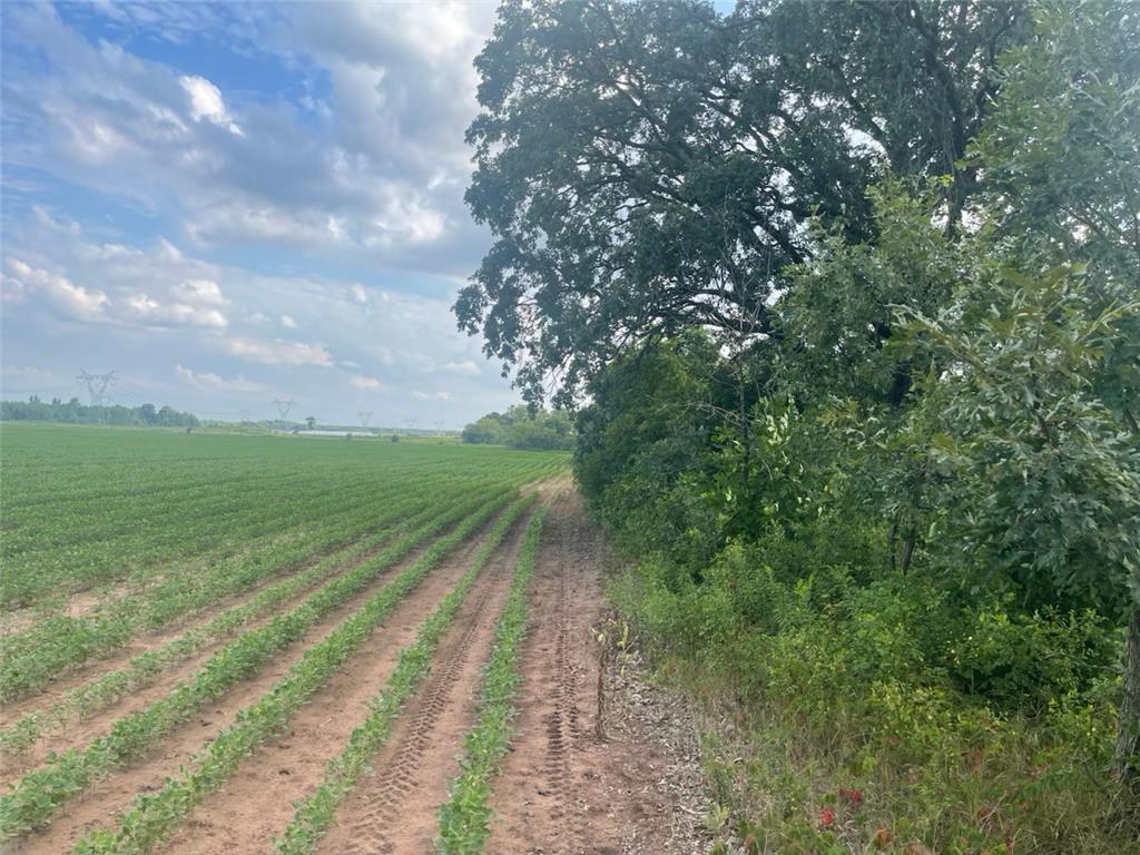 9484 Sunrise Rd Sunrise Twp MN 55032 6769304 image37