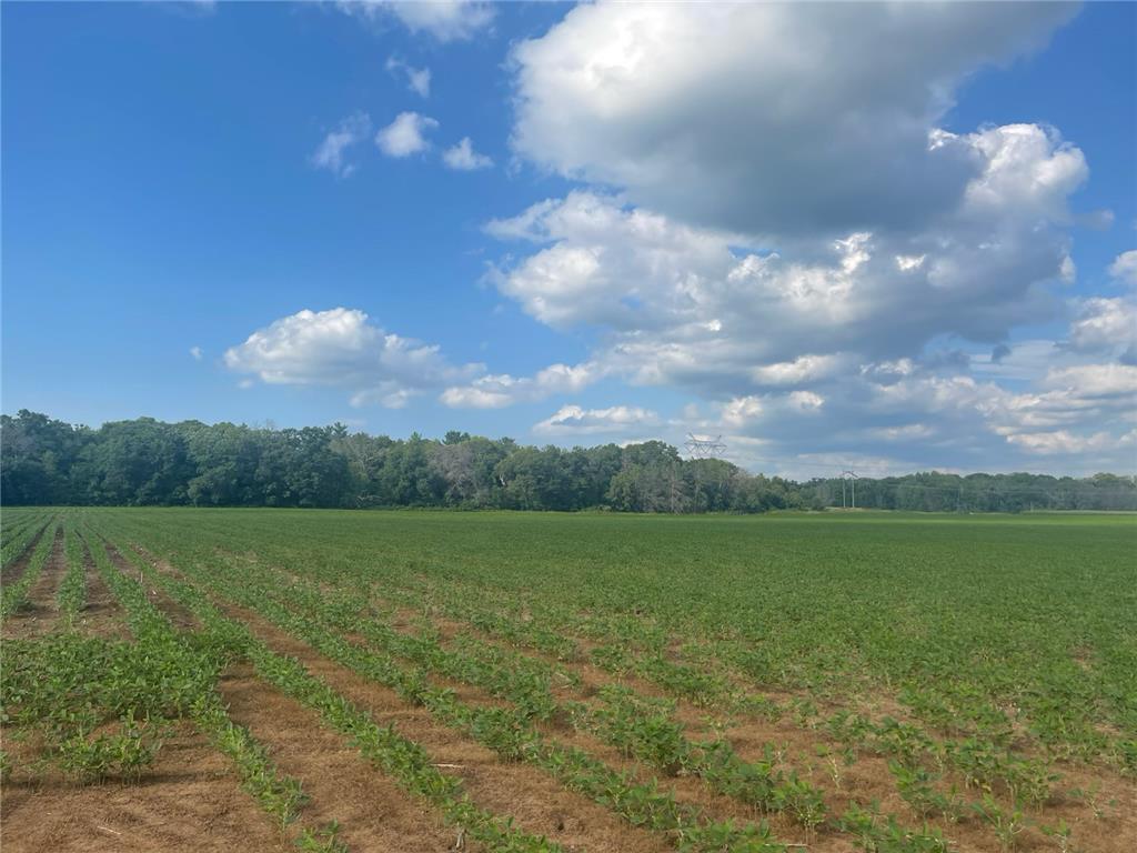 9484 Sunrise Rd Sunrise Twp MN 55032 6769304 image38