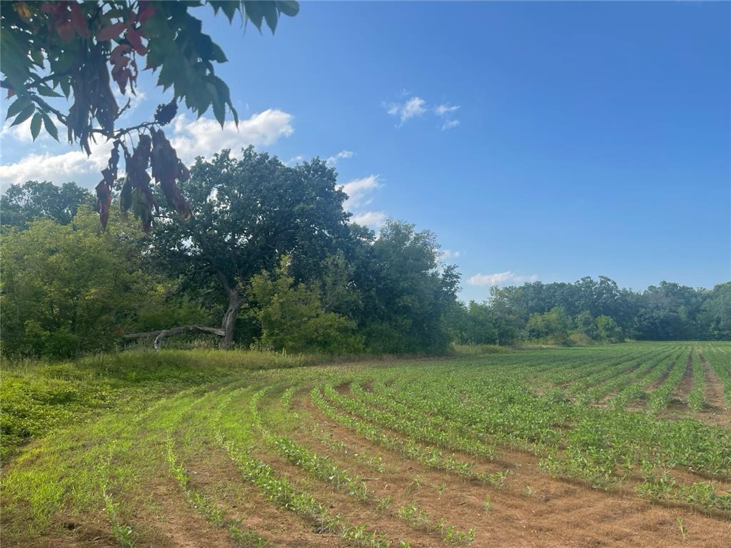 9484 Sunrise Rd Sunrise Twp MN 55032 6769304 image39