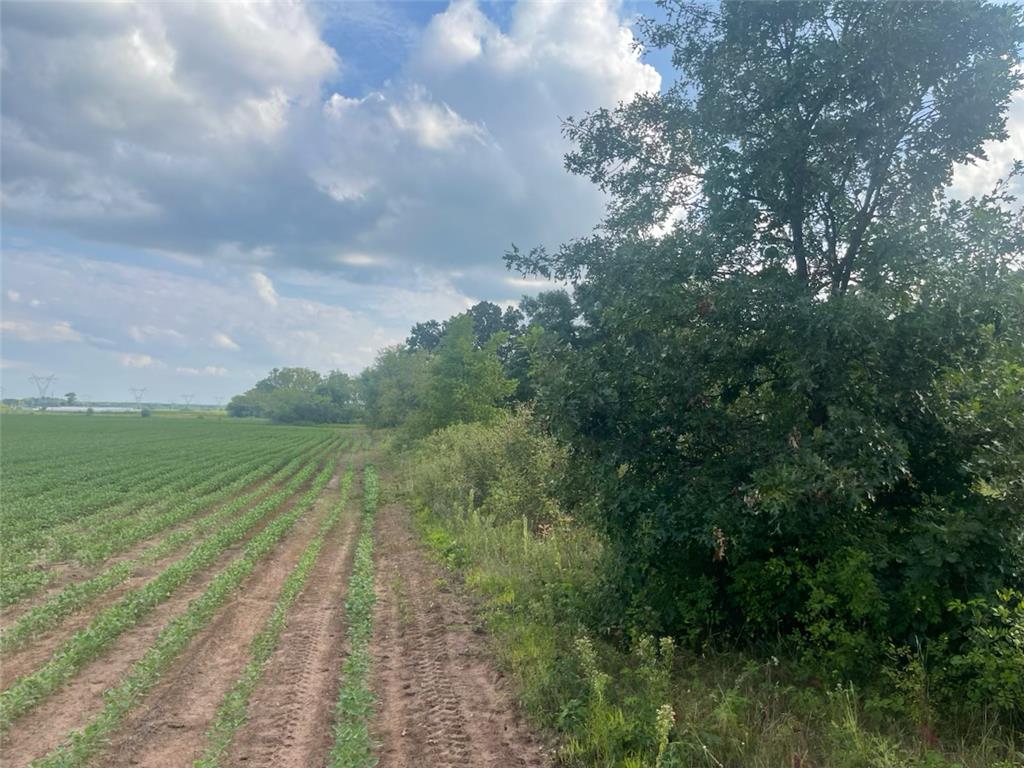 9484 Sunrise Rd Sunrise Twp MN 55032 6769304 image41