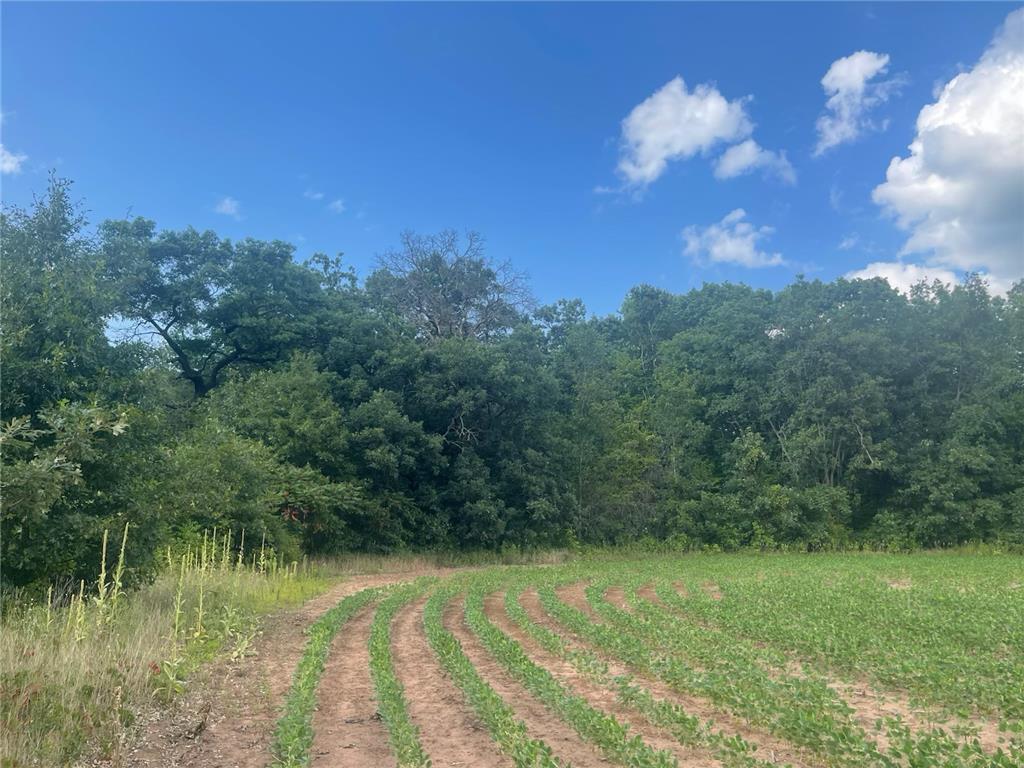 9484 Sunrise Rd Sunrise Twp MN 55032 6769304 image42