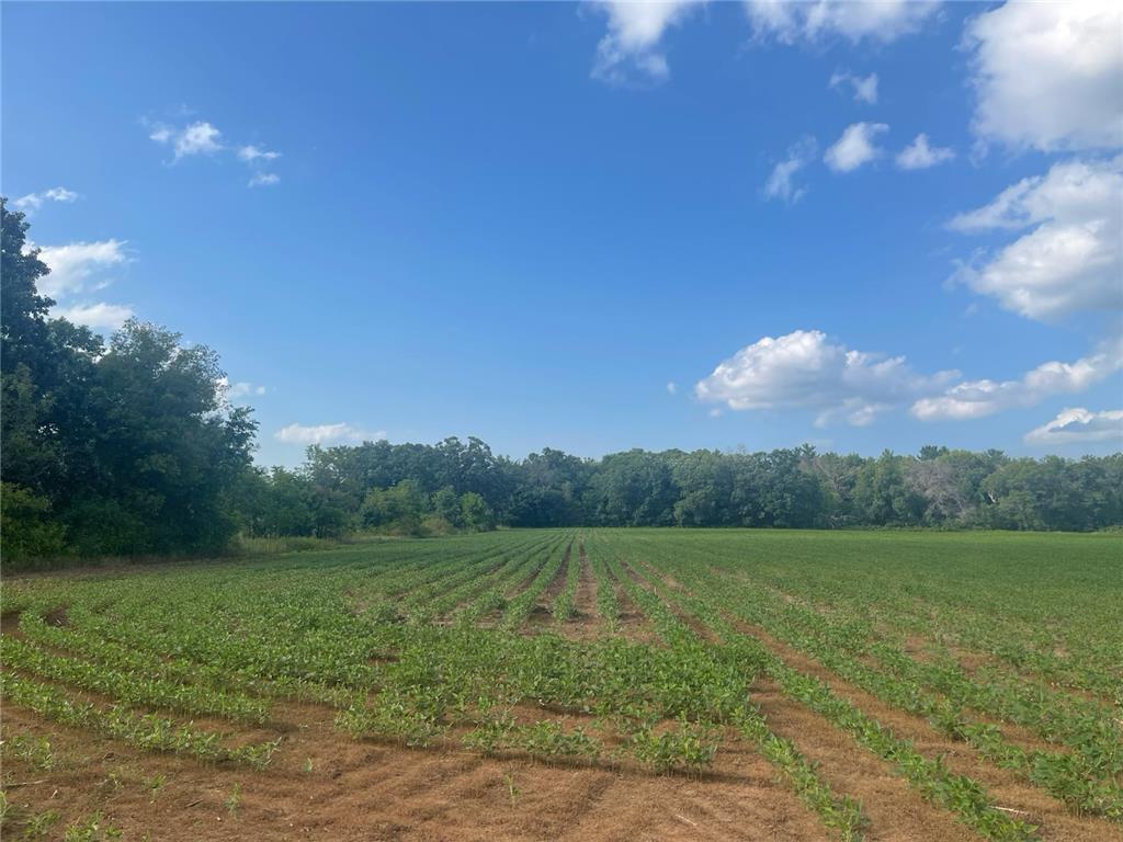 9484 Sunrise Rd Sunrise Twp MN 55032 6769304 image43