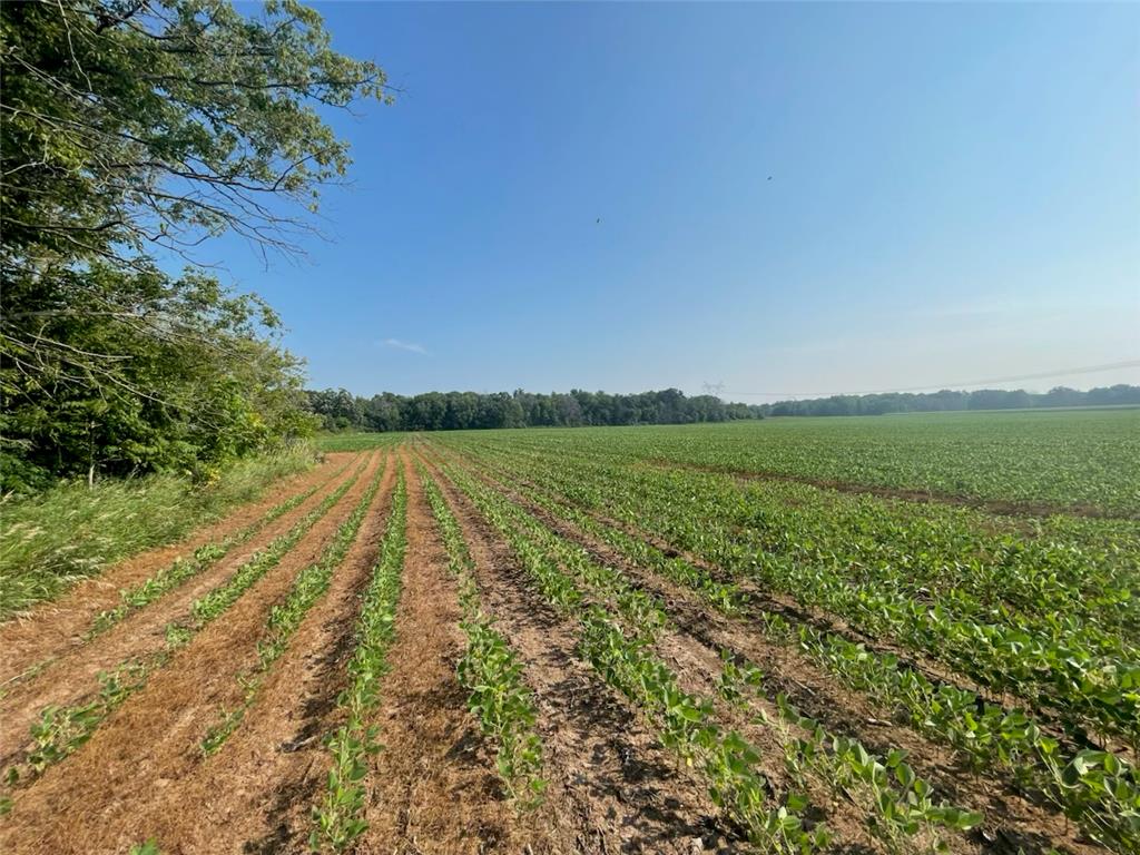 9484 Sunrise Rd Sunrise Twp MN 55032 6769304 image44