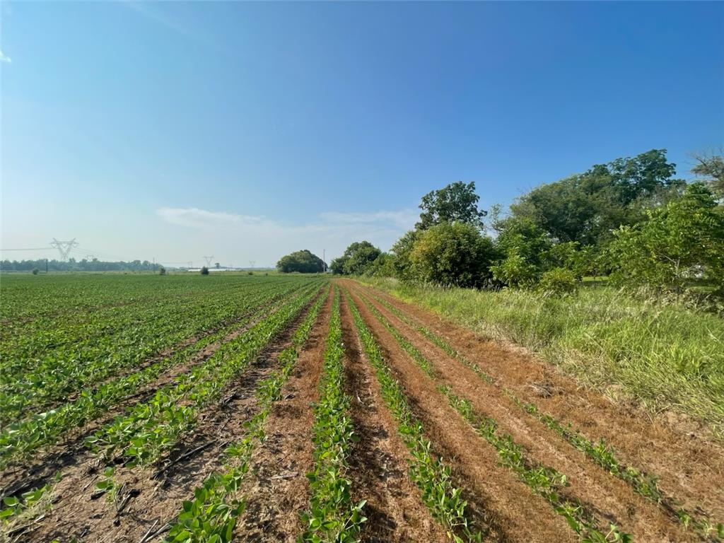 9484 Sunrise Rd Sunrise Twp MN 55032 6769304 image45