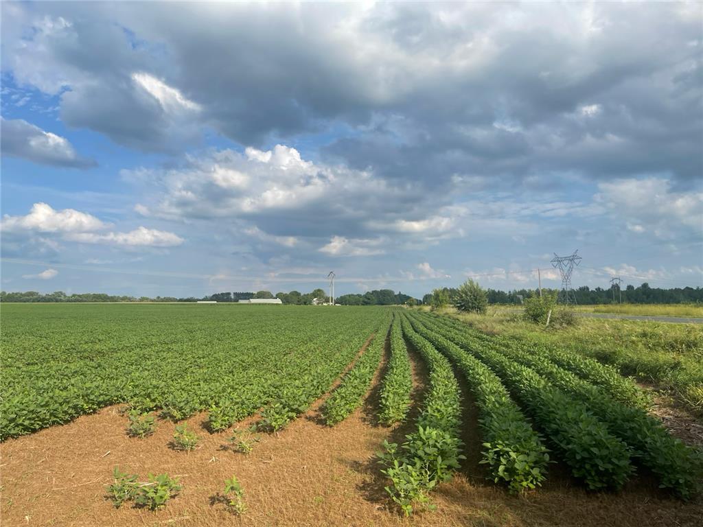 9484 Sunrise Rd Sunrise Twp MN 55032 6769304 image47