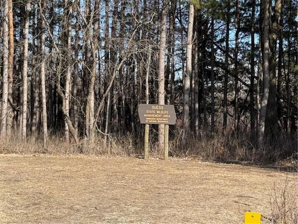 9485 90th Avenue SW Stewartville MN 55976 7039614 image8
