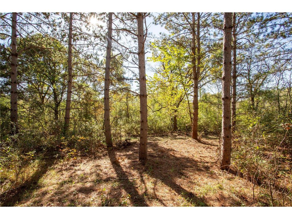 949 Riverdale Court Star Prairie Twp WI 54025 - Apple River 6826190 image15