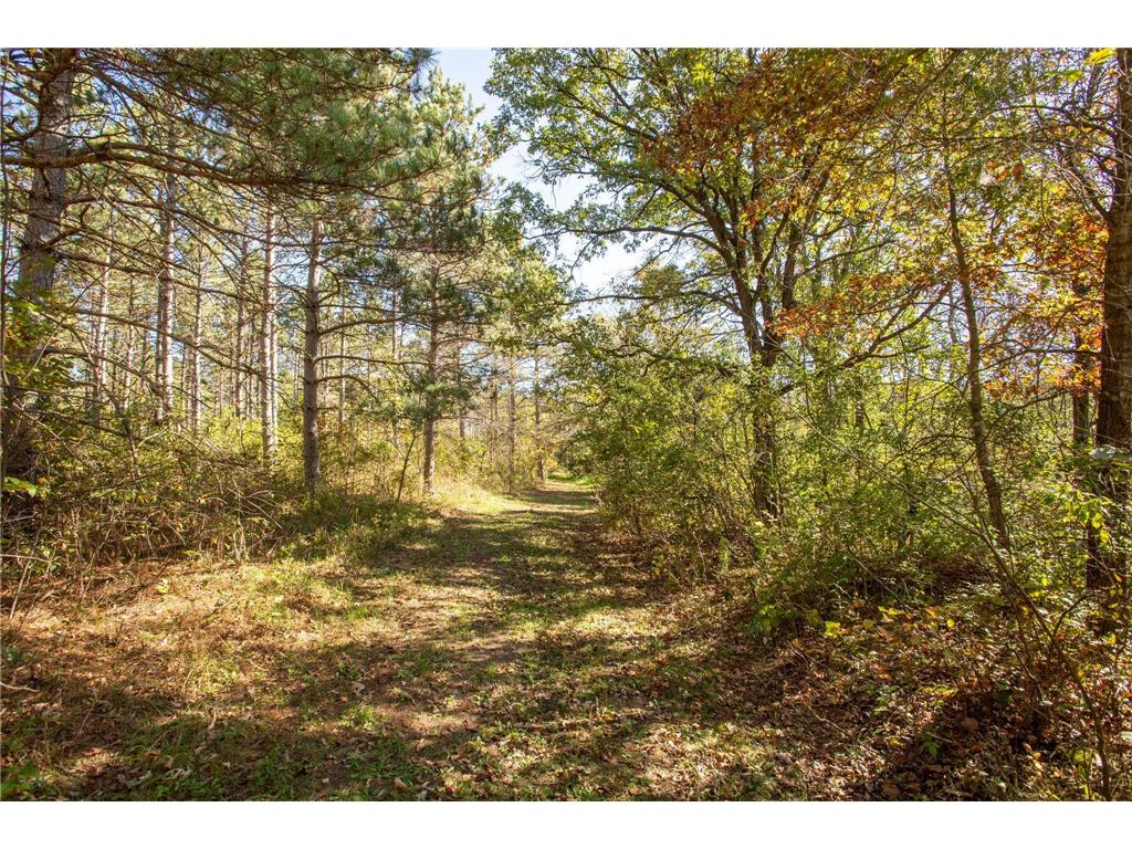 949 Riverdale Court Star Prairie Twp WI 54025 - Apple River 6826190 image16