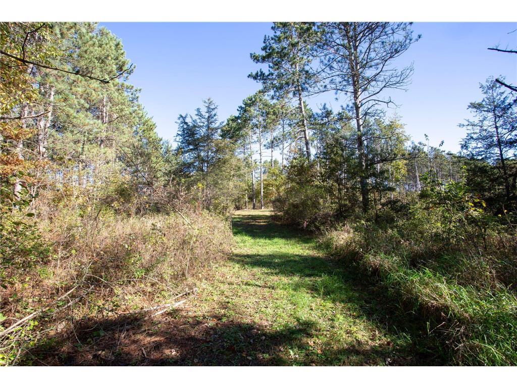 949 Riverdale Court Star Prairie Twp WI 54025 - Apple River 6826190 image17