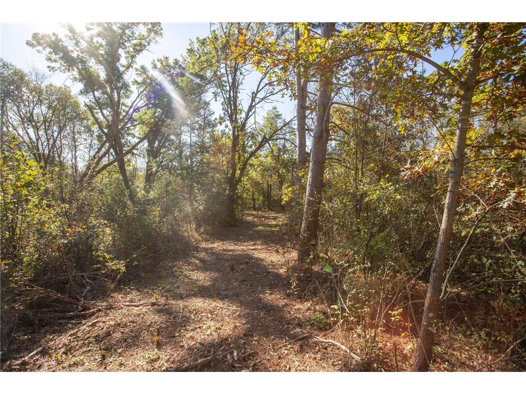 949 Riverdale Court Star Prairie Twp WI 54025 - Apple River 6826190 image19