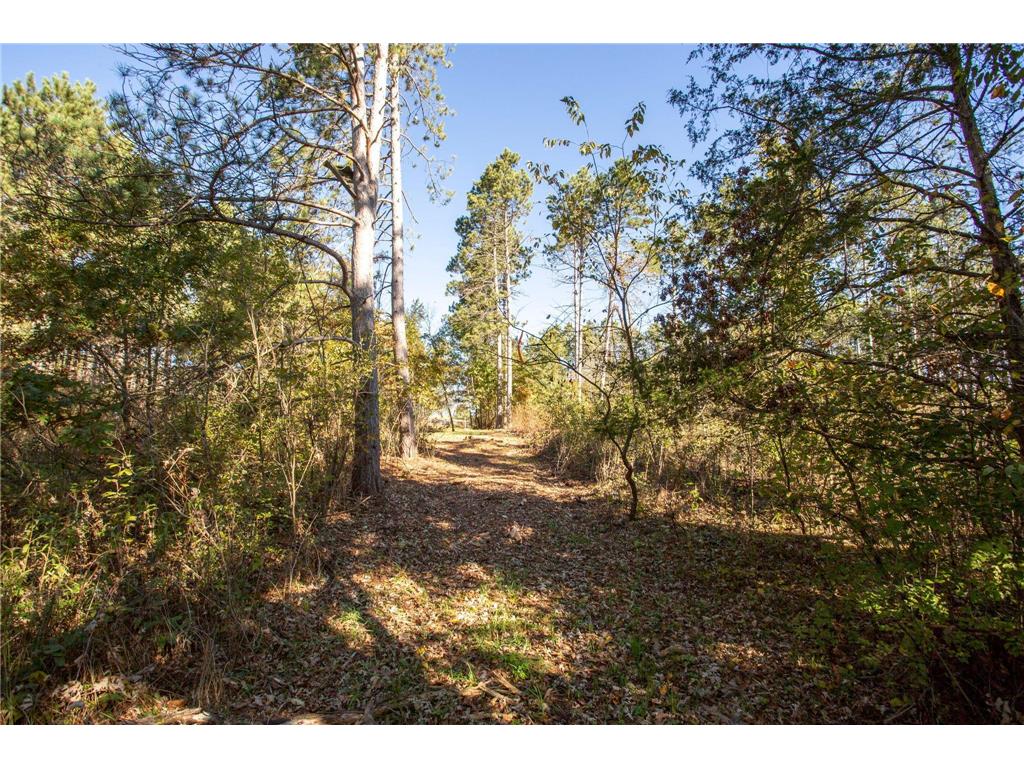 949 Riverdale Court Star Prairie Twp WI 54025 - Apple River 6826190 image20