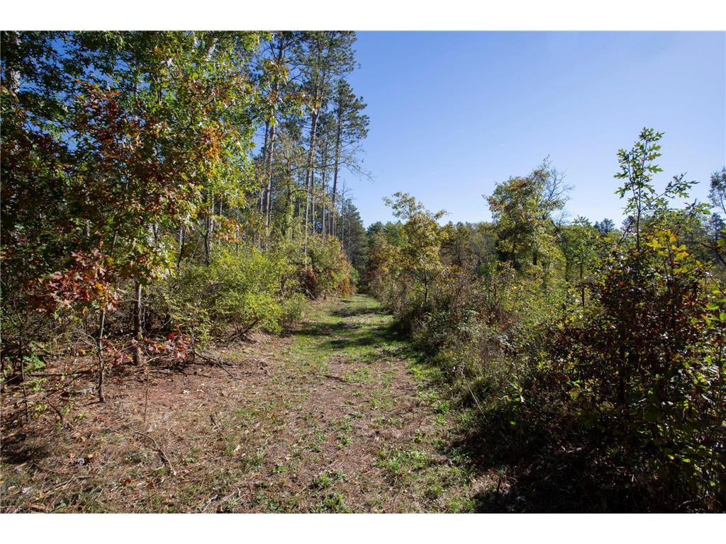 949 Riverdale Court Star Prairie Twp WI 54025 - Apple River 6826190 image21