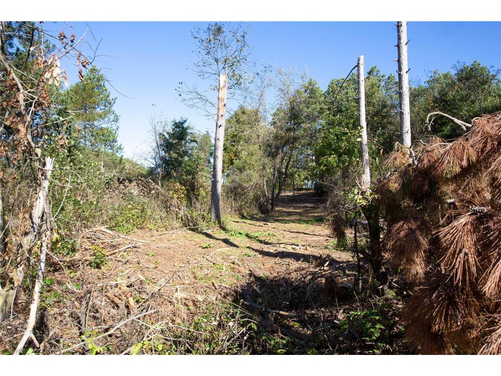 949 Riverdale Court Star Prairie Twp WI 54025 - Apple River 6826190 image22