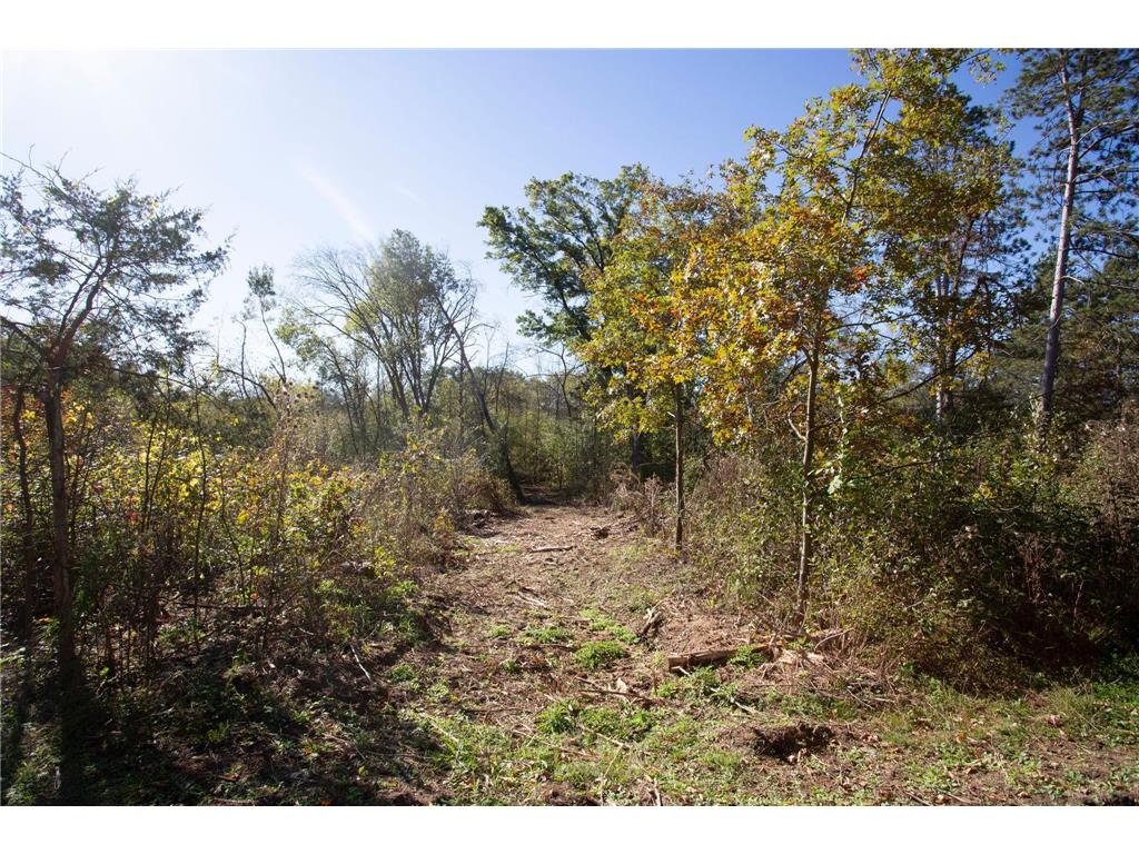 949 Riverdale Court Star Prairie Twp WI 54025 - Apple River 6826190 image23